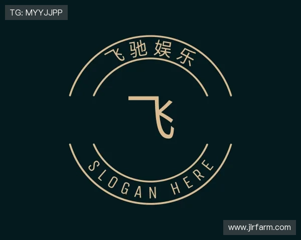 关于飞驰娱乐